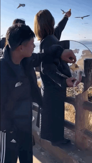 反手清脆的一巴掌，女人用实力教训了他！手捧爱心食物，专心致志在喂鸟，不料