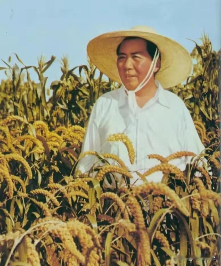 1962年，邓子恢向毛主席提出支持“包产到户”的建议，毛主席说：“你怎么又动摇了