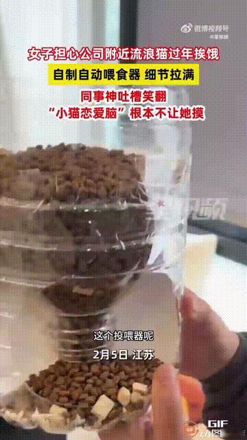 这名女子真是既聪明又善良！江苏一名女子即将放假回家，因为担心公司附近的流浪猫会饿