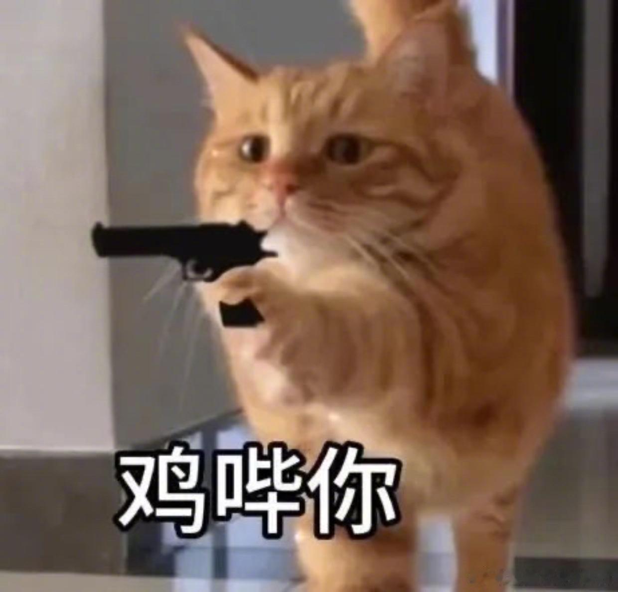 12星座谈恋爱最怕对方说什么白羊：“再想想吧”金牛：“这个太贵了”双子：“你在干