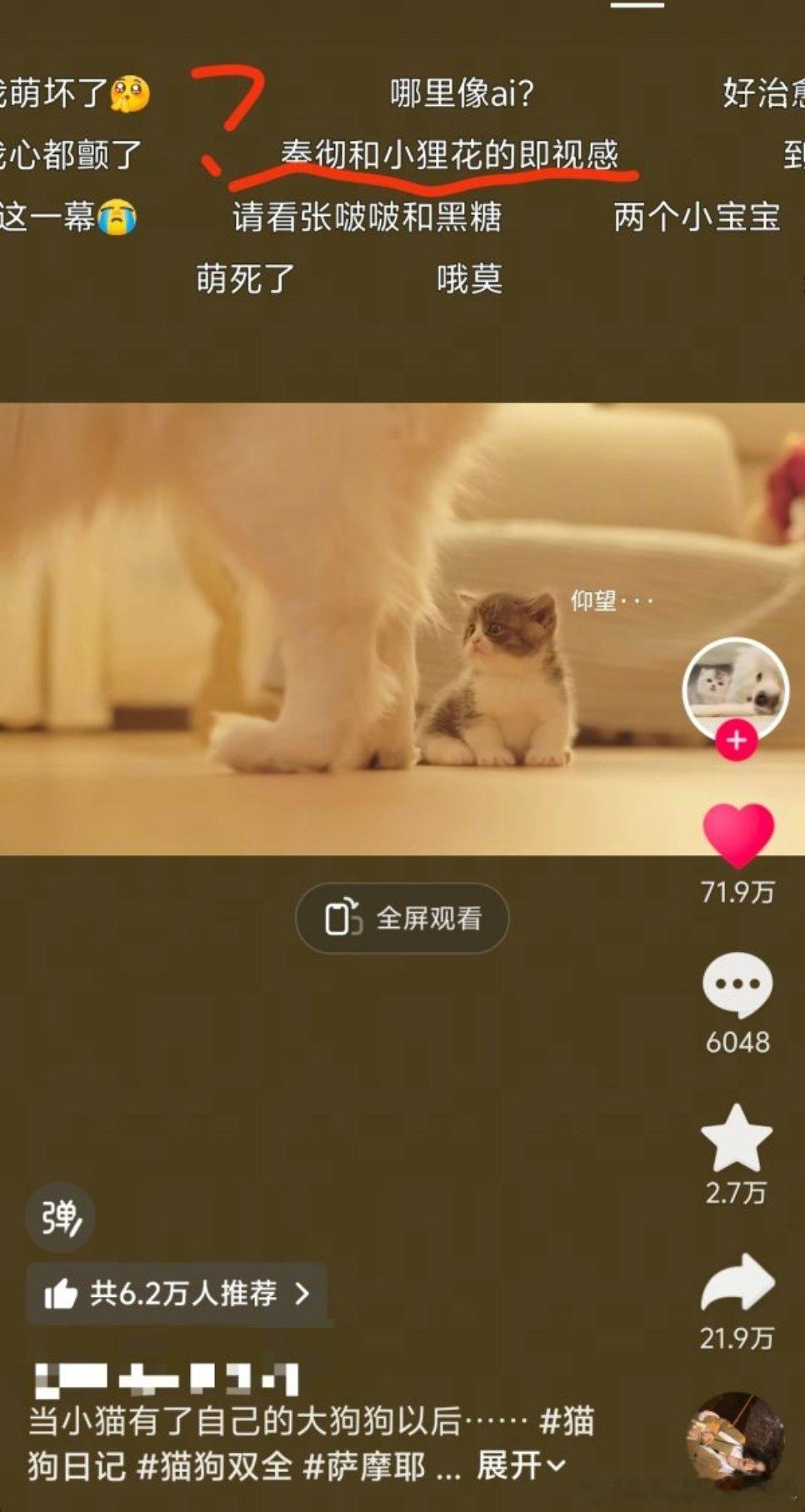 原视频是一只大狗和一只小猫，yxm就这么美美带入了​​​
