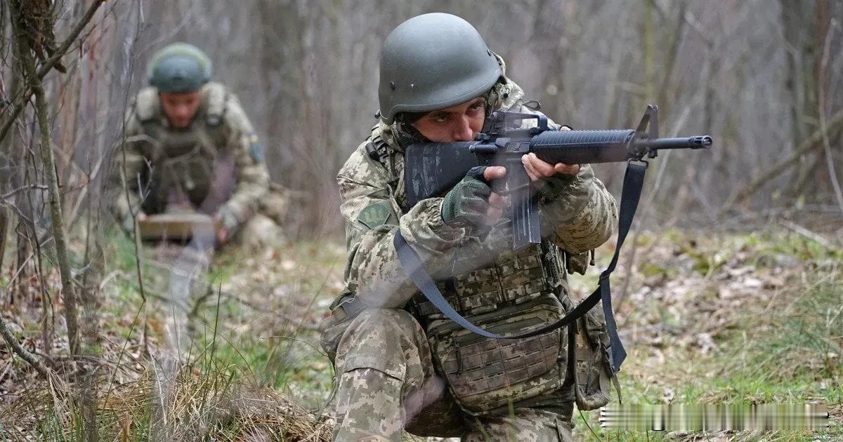乌克兰武装部队在苏梅地区站稳脚跟：俄罗斯人损失惨重，并击毙营级指挥官摘要：经