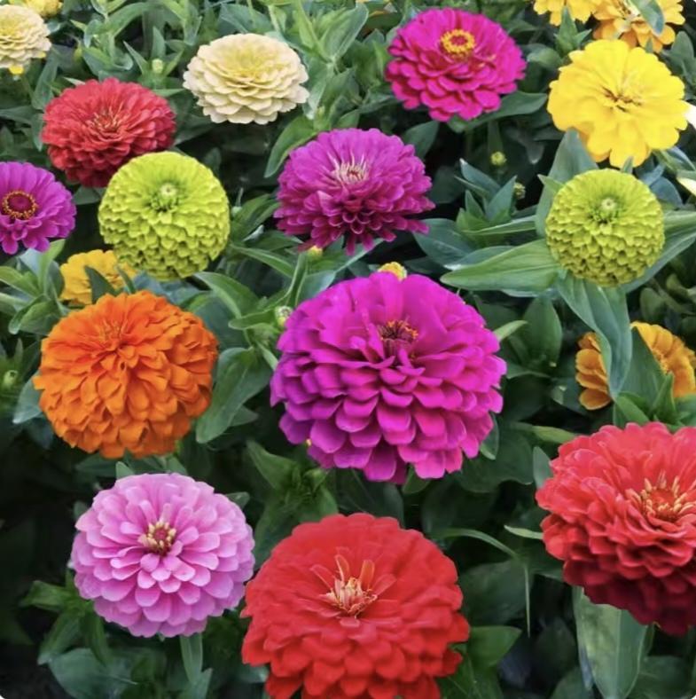 如果你的经济允许，如果你的精力允许，就去生一个孩子吧！否则工作的意义是什么