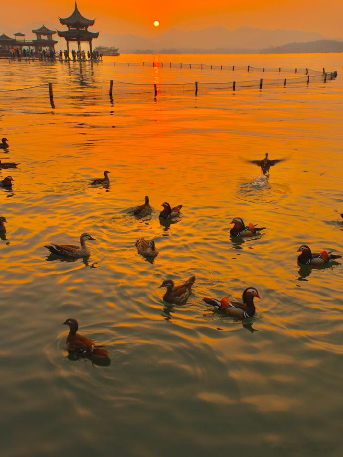 日落的西湖欲把西湖比西子，淡妆浓抹总相宜a股杭州西湖