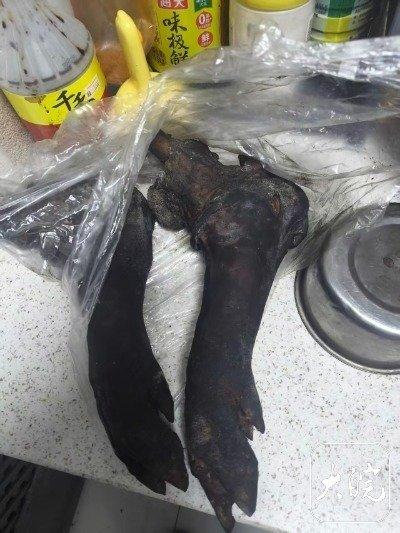 这是一个关于气道异物梗阻导致儿童窒息死亡的悲剧事件，核心教训是：儿童进食时必须专