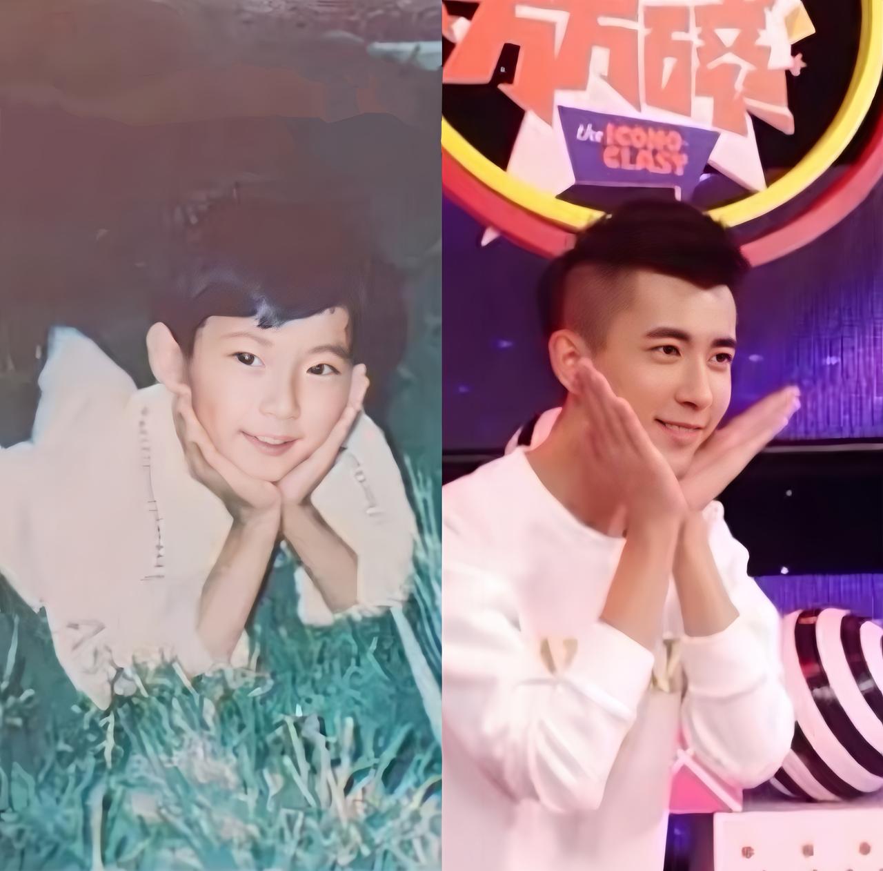 实在难得，他幼时模样俊俏，一笑便满是天真无邪，那份纯粹足以让人记许多年，没想到时