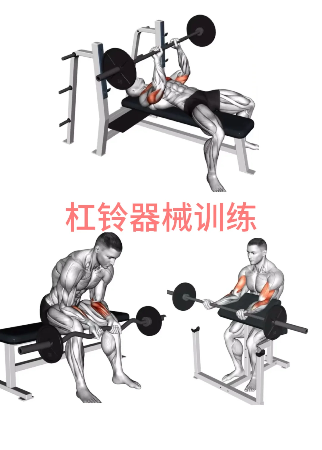 练好这几个动作🔥