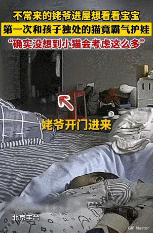 万物皆有灵性！北京宝妈下楼拿个快递的功夫，心都悬到嗓子眼——家里娃还小，竟和猫咪