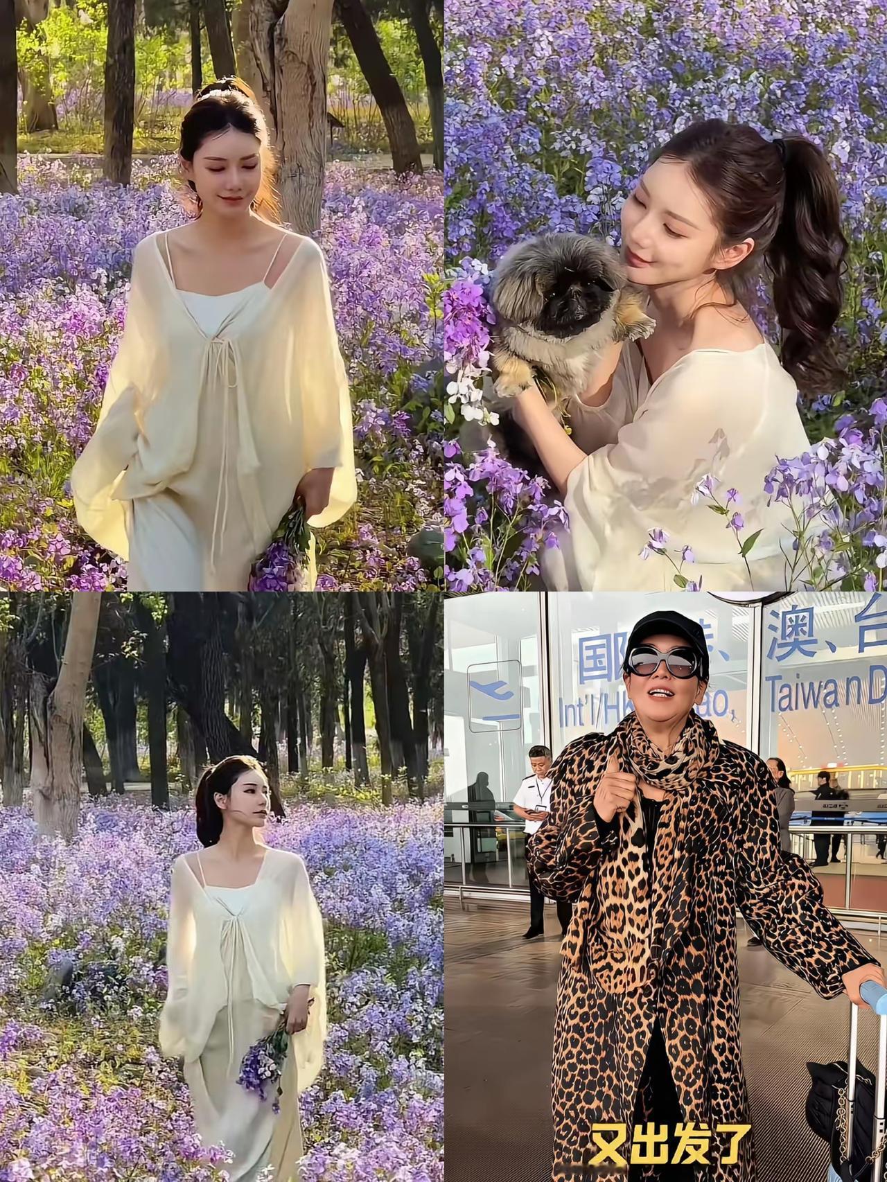 马小梅这次回京，明显是失算了。本以为带着孩子回来能缓和关系，迎接她的却是格外冷