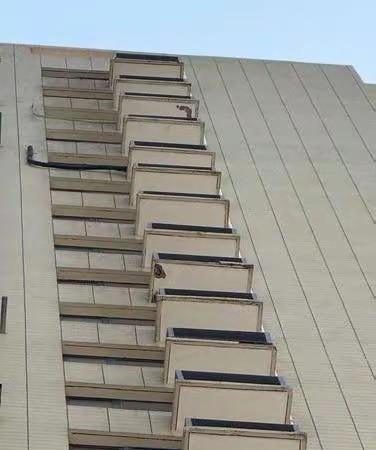 陕西西安，8岁男童和奶奶走到单元楼下时，被从天而降的外墙水泥块砸伤，光前期治疗就