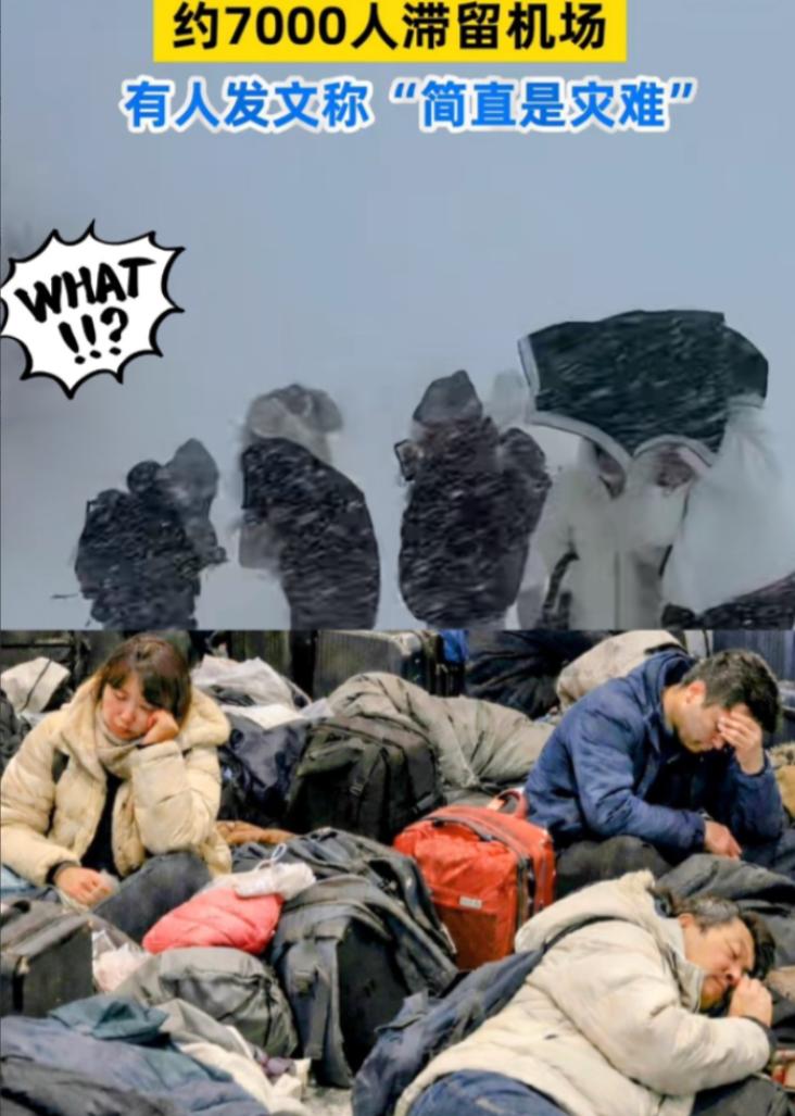 “求救！被困北海道机场，急求国家派包机接我们回国！”最近，互联网上的一些声音，