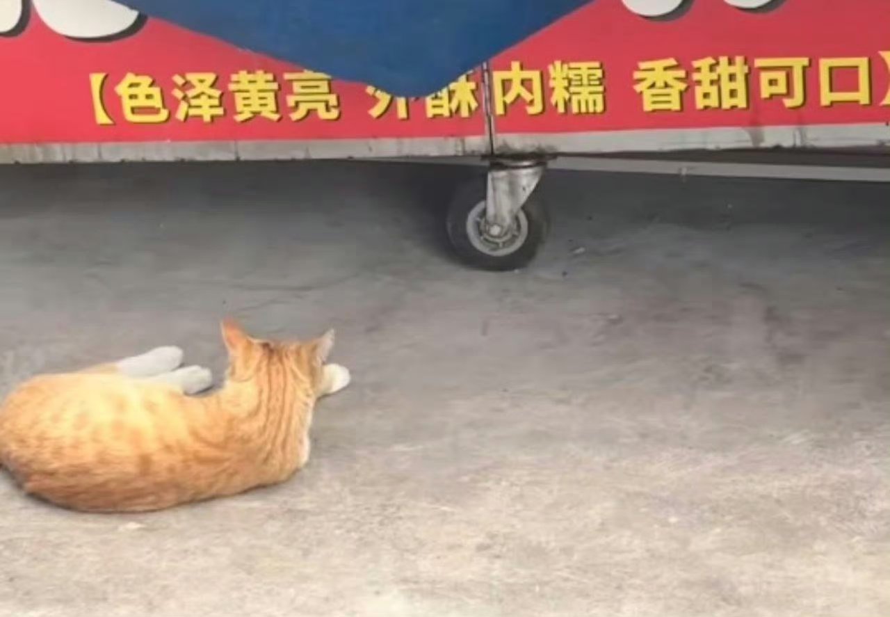 还真是