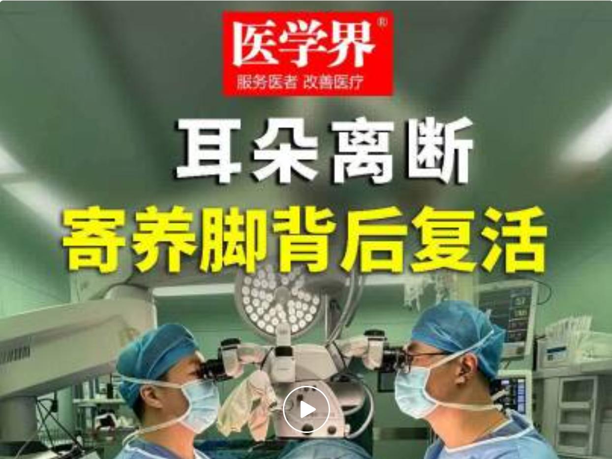 全球能完成耳廓异位寄养再植、并且顺利回植的手术案例少之又少，几乎没有成熟操作经验
