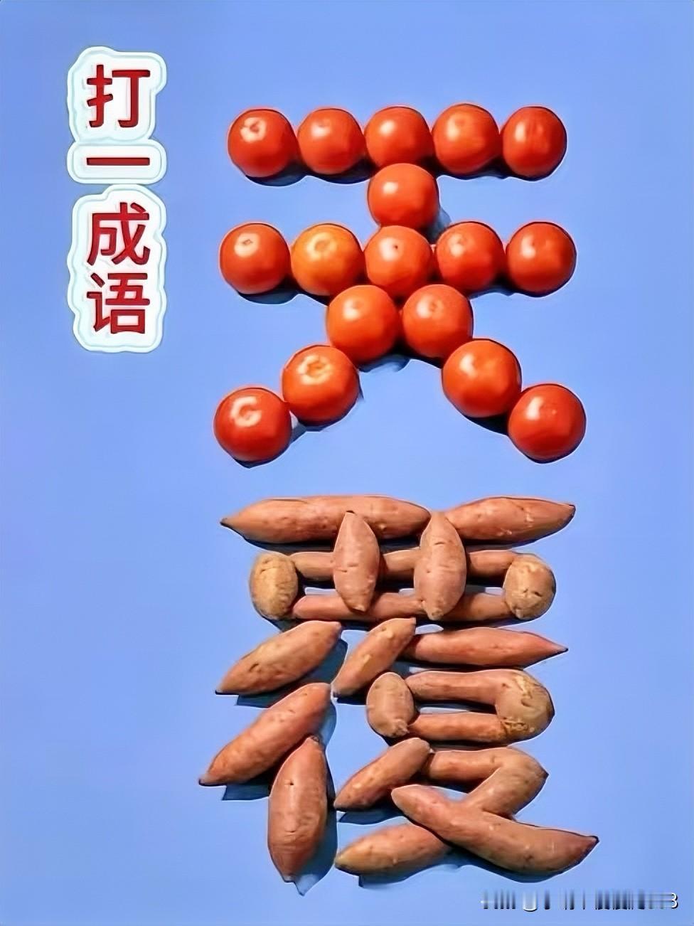 番茄和红薯拼出趣味谜题猜成语番茄上天一红薯覆地