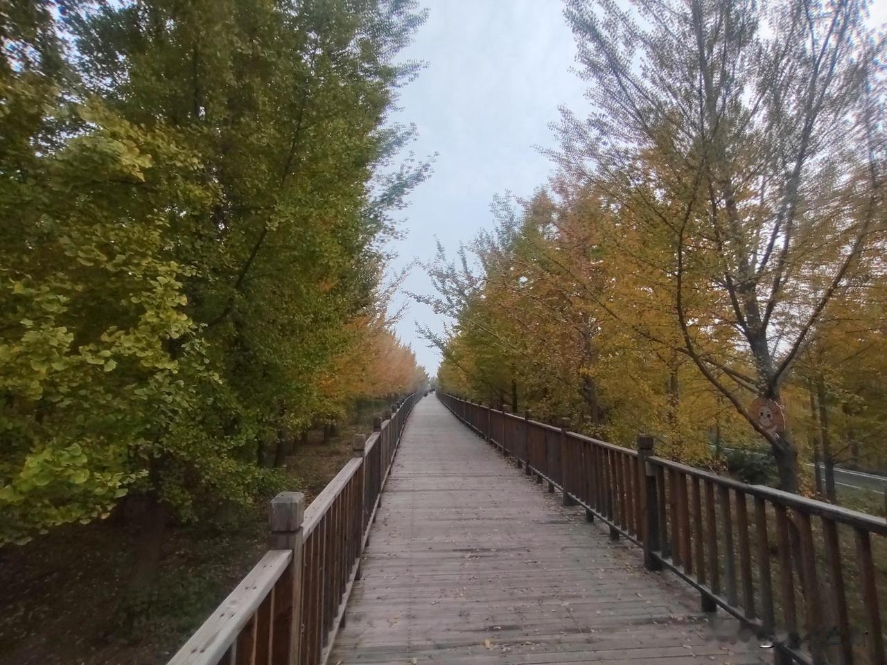 必须行！有一次，周末去姐姐家里玩。刚刚吃完中午饭，听到敲门声。姐姐打开门