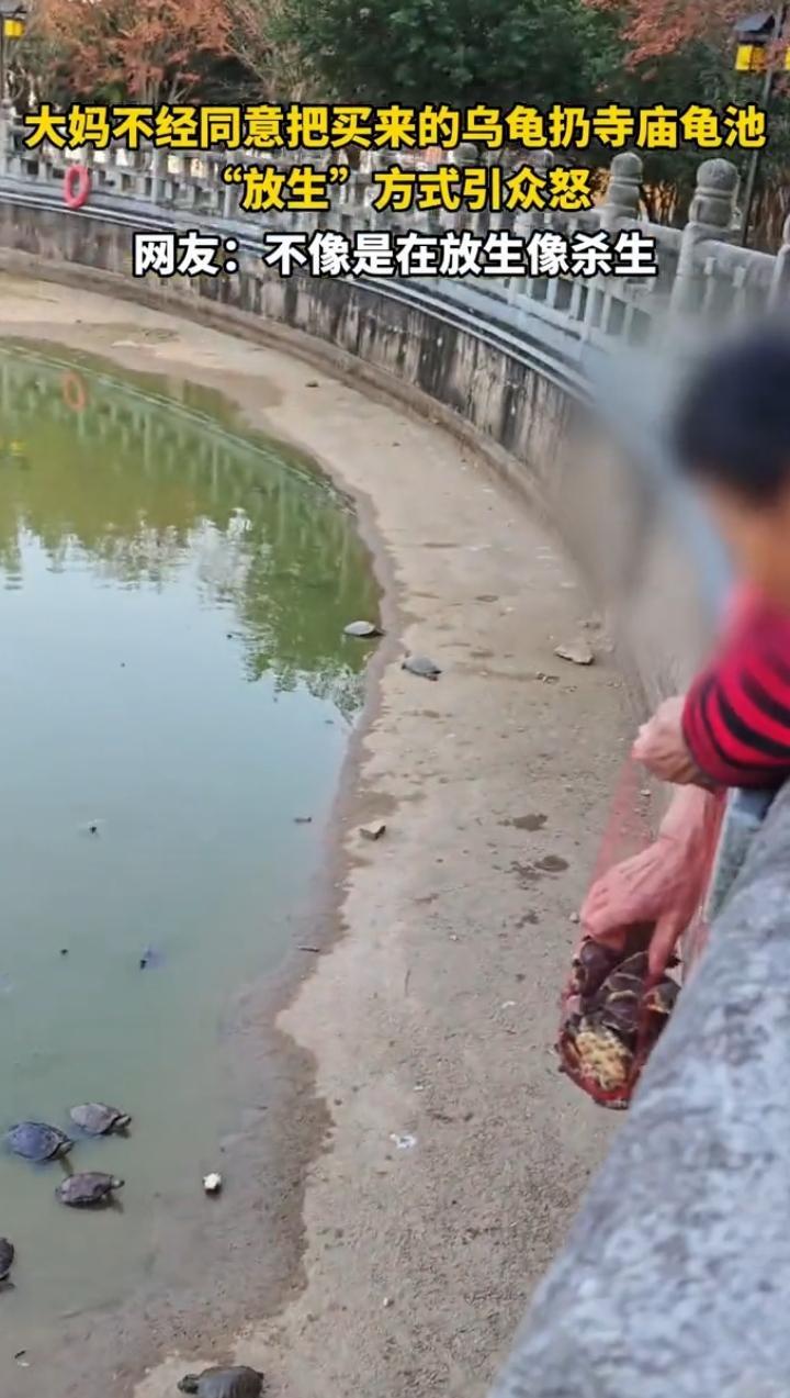 近日，一65岁大妈来到寺庙里面，二话不说就朝着放生池走去，接下来大妈的举动让周围