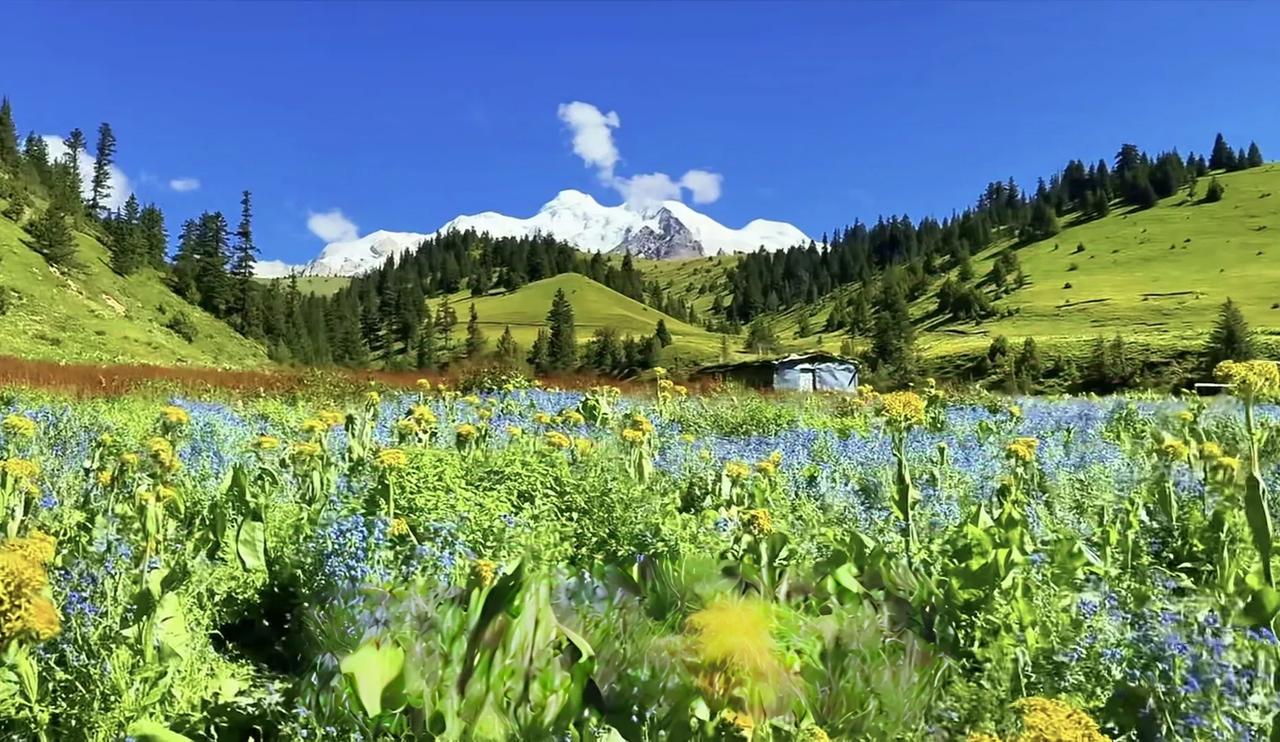 川西，是一个满溢奇幻与诗意的地方。稻城亚丁，雪山、草甸和海子勾勒出视觉的盛宴，三