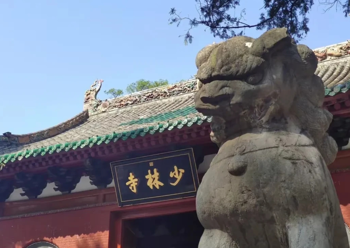 少林寺得罪了谁？4.52亿房地产，18家公司……更有许多尚待考证的传言。历史