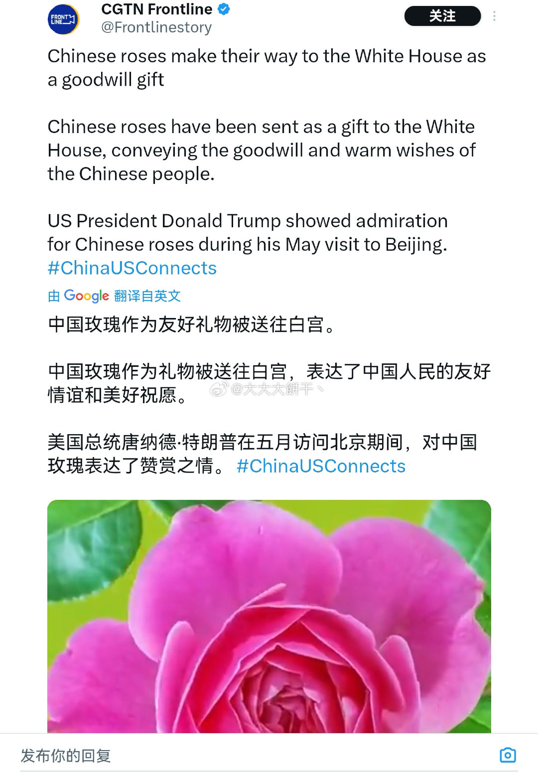 特朗普砍掉了日本送的百年樱花树～中国的玫瑰作为国礼种进了白宫...​