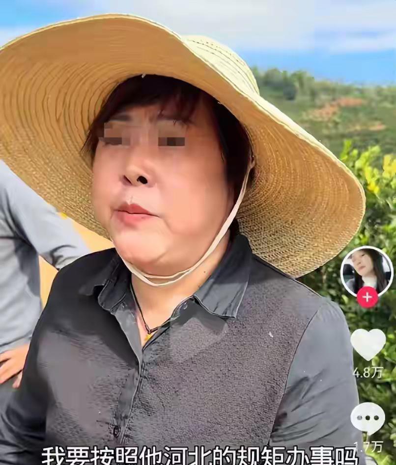 云南的橙子一下子就火了，大姐老家是湖北的，在云南做水果代办，河北的一个小网红去云