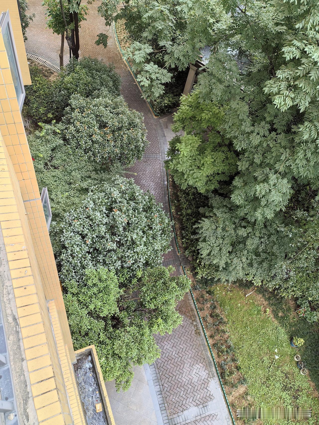 不管你信不信，人这一生的财运，真的是有定数的。越来越信一句话：人一辈子的财