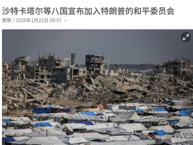 我们也该做出决定了！在俄罗斯总统普京表示有意加入“和平委员会”之后，又有八个国家