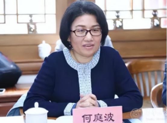 2003年，女工程师何庭波得知，华为芯片研发每年有24亿经费，惊叫道：“这么多，