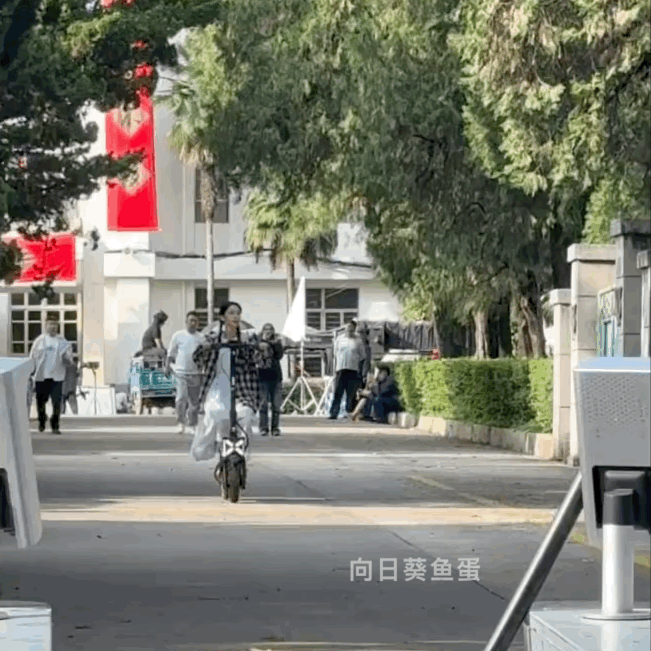 熟悉的味道，狗儿又在骑车了。