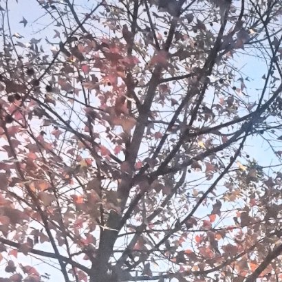 1800你若拥有一颗宽容善良的心，你就会拥有快乐，你若拥有充满生机的心，你就会拥