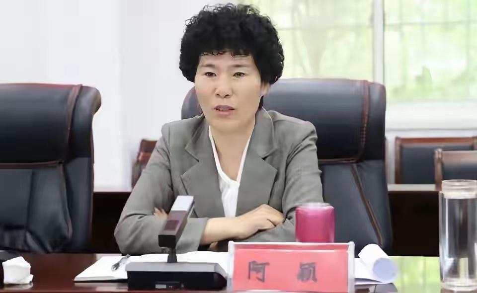 9月20日，据河南省纪委监委消息，经河南省委批准，河南省监委对阿颖严重违法问题进