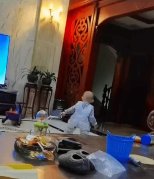 教练组想要的紫微星男左我给你们找到了特别紫微可能才2岁多[doge]​​​