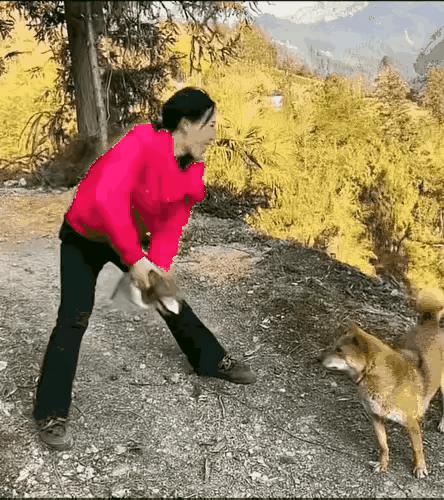 这个坏女人把狗妈妈急坏了[呲牙笑][呲牙笑]