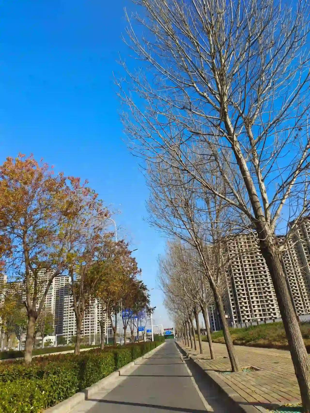 我85年，今年40岁，没结婚没小孩，不如出来工作，不敢想大龄在小县城该多痛苦。