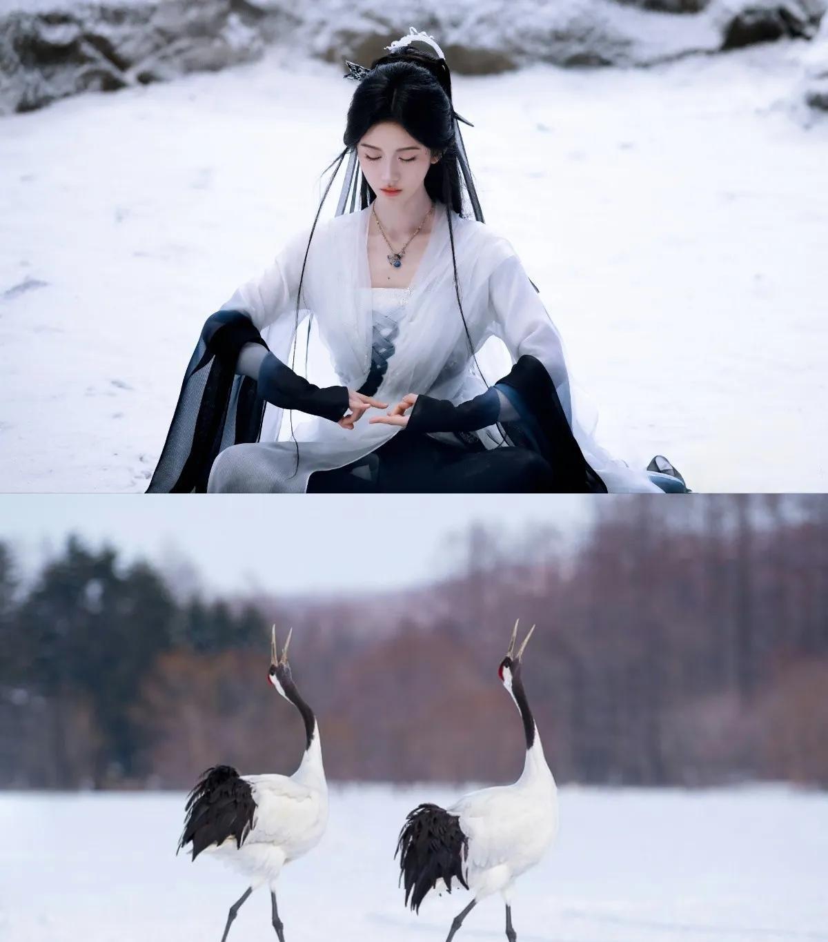 雪地修炼中的鞠婧祎（角色:阿黛）像不像雪地里的仙鹤!虽为静态画面，但衣袂的