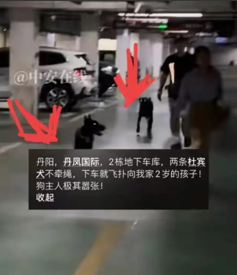 闹大了！江苏公安、镇江公安、丹阳公安抖音号，评论区炸锅了！5月深圳有先例，对狗