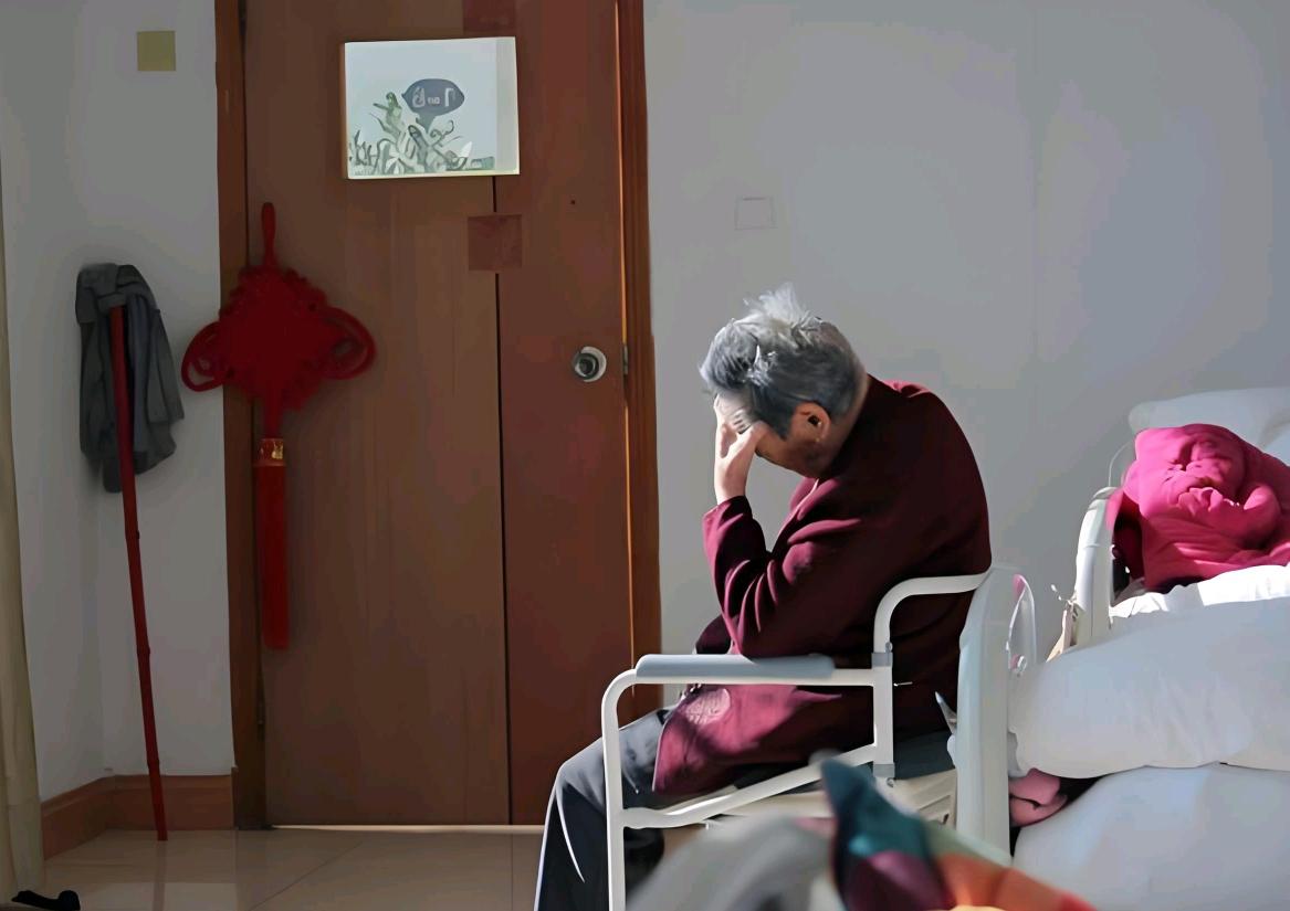 儿子把我送到养老院那天，是腊月二十六。他站在门口，说妈，你先住着，过完年我来接你