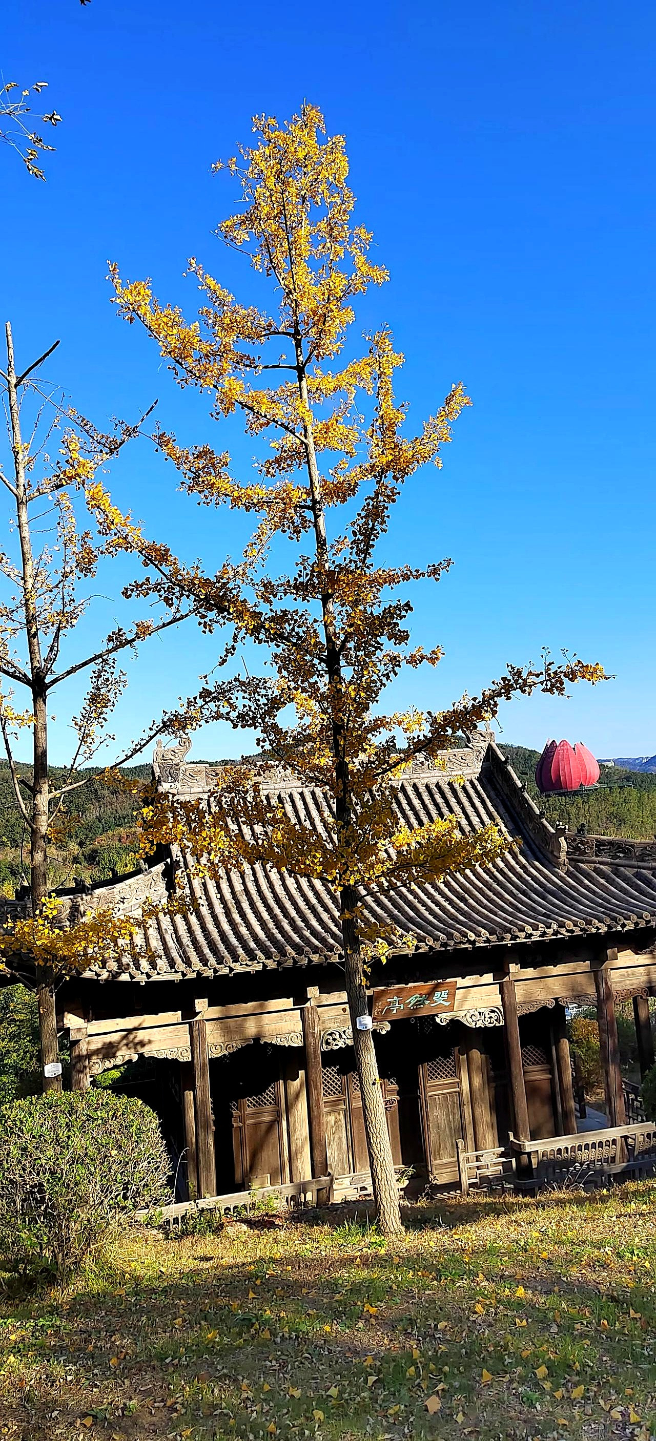AA制婚姻二十多年，老公脑出血走了。办完后事，妻子一查财产，两百万存款加一套小公