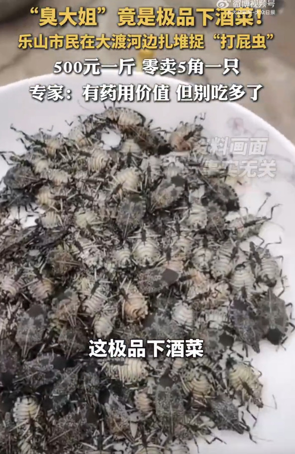 之前有刷到过，但是我接受不了光是这个名字，还有这虫的长相我就不会去吃了。。。