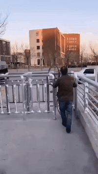 世界是由bug组成的