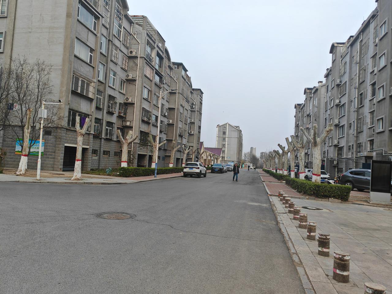 啥时候园子技艺变得这么简单粗暴了！春天到来，本该是万物复苏的季节，各种树木争相吐