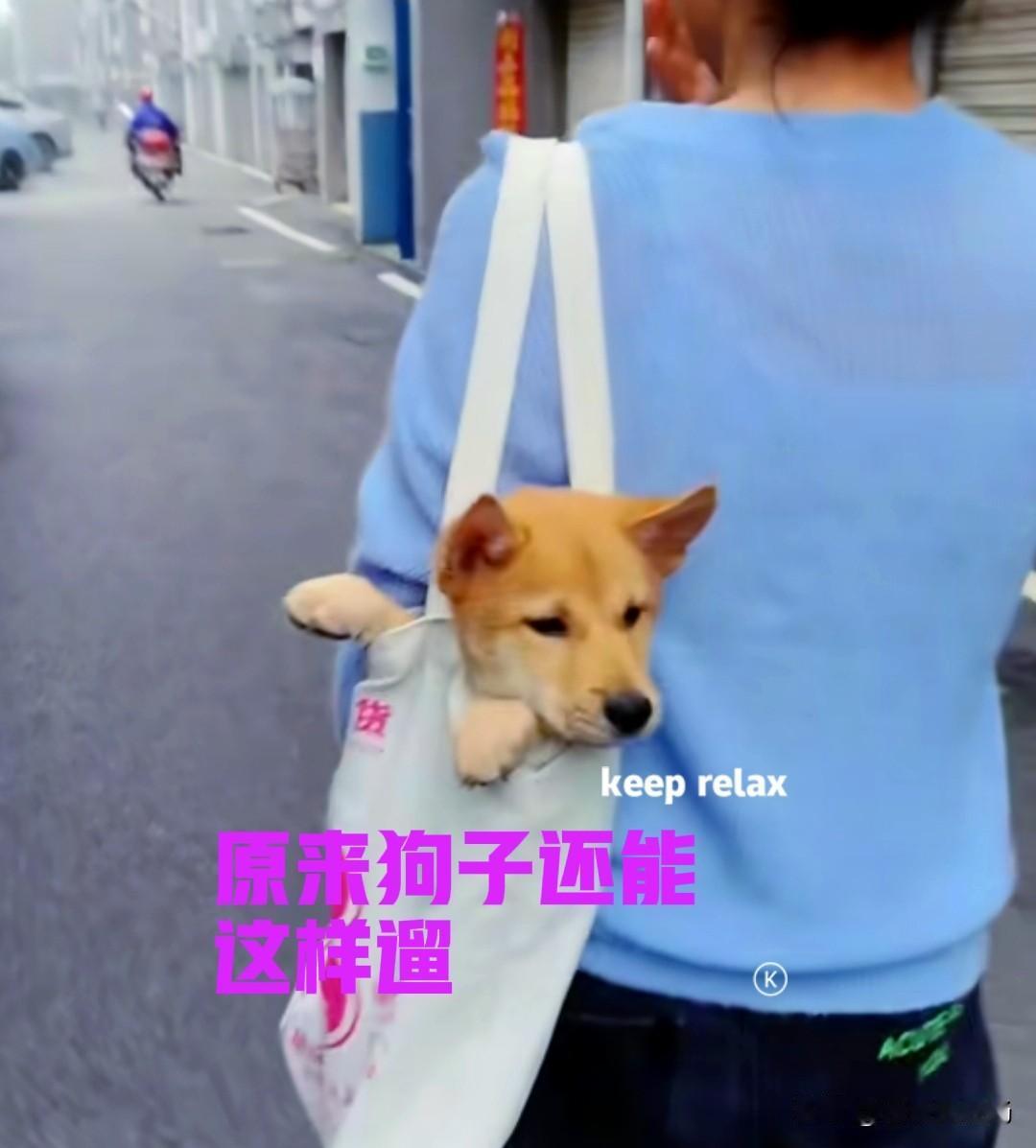下班回家的路上，看到前面有一个步行的美女。美女的左肩上挎着一个白色的帆布包，包里