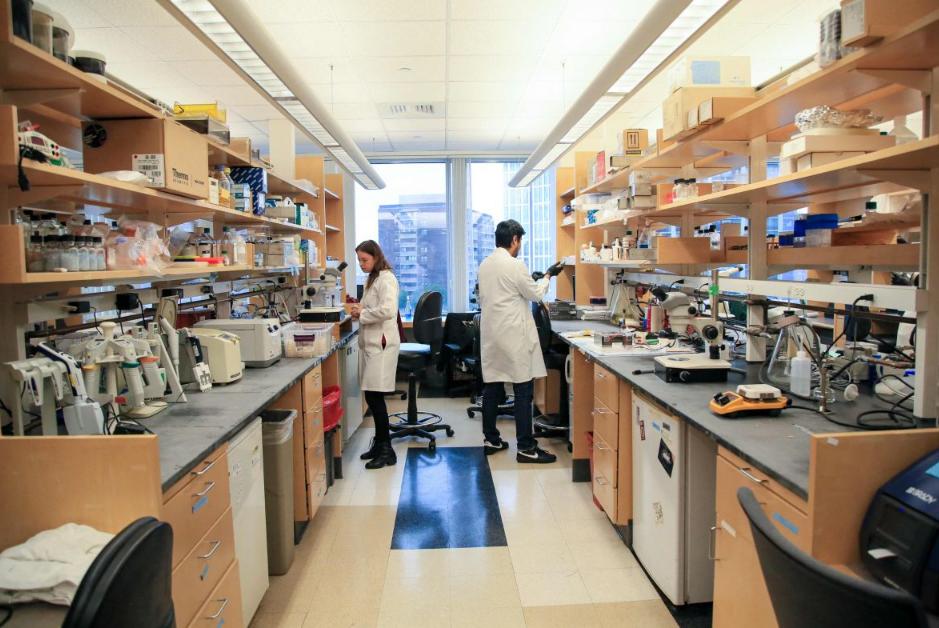 颠覆180年认知！光的磁性成分终被发现，改写法拉第效应11月19日英媒报道