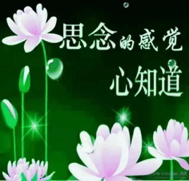 思念一个人时真的会心痛会难过会流泪会生病会失眠会要了你半条命多希望
