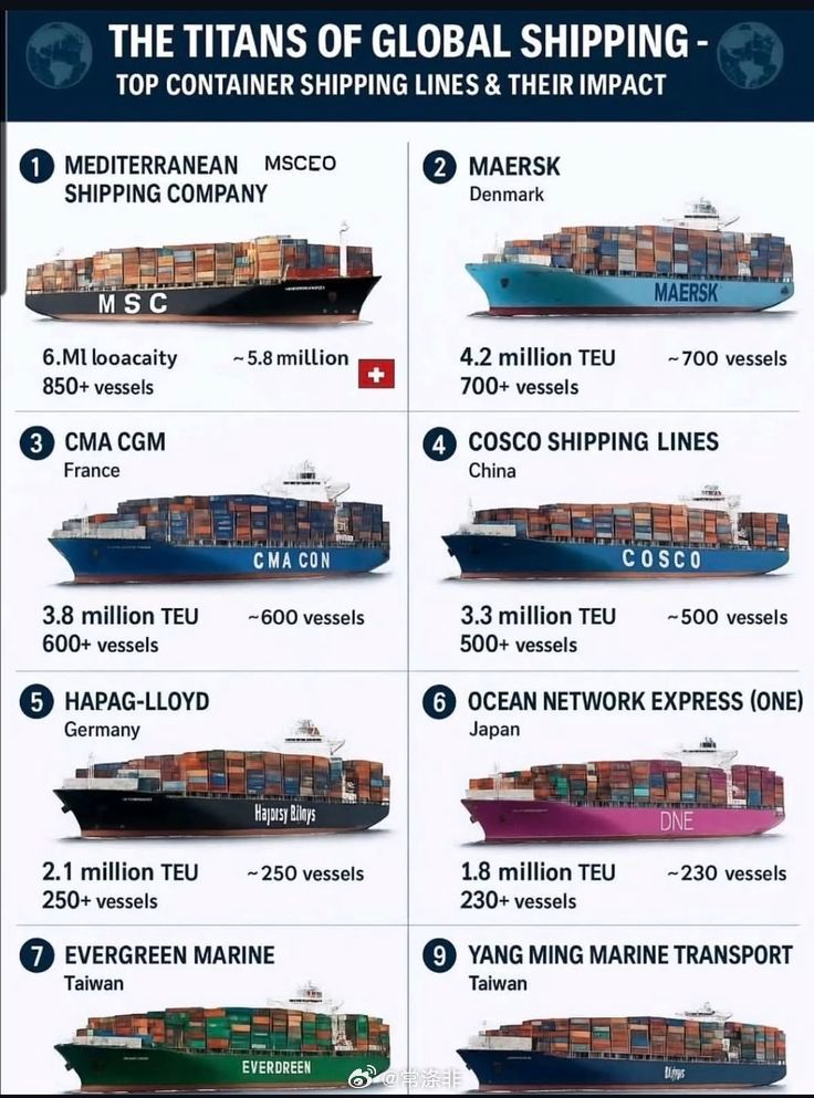 全球航运巨头（2026年1月）🇨🇭MSC—710万吨集装箱（市场份额2