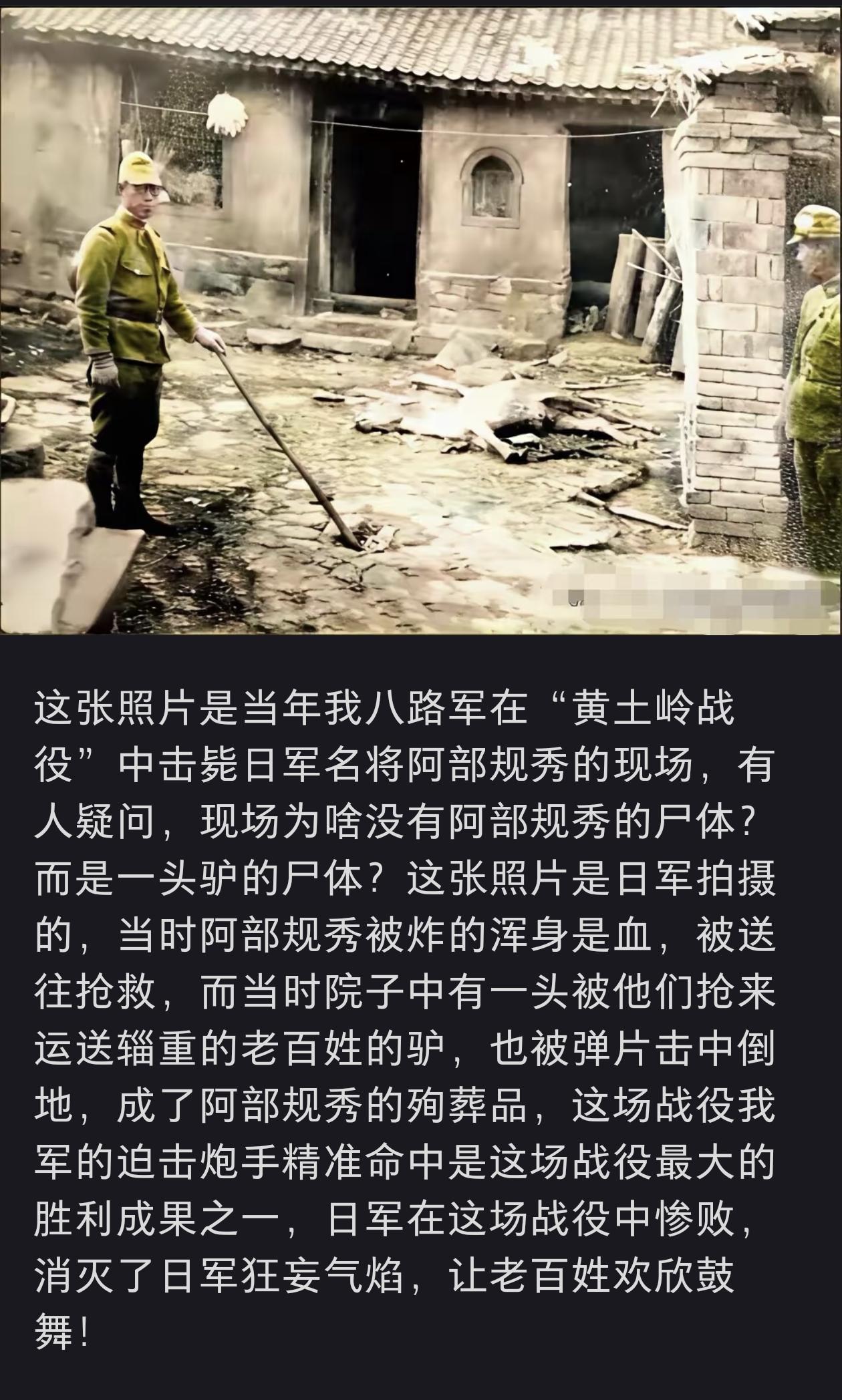 阿部规秀当年的殉葬物是一头驴。倒霉的驴啊！