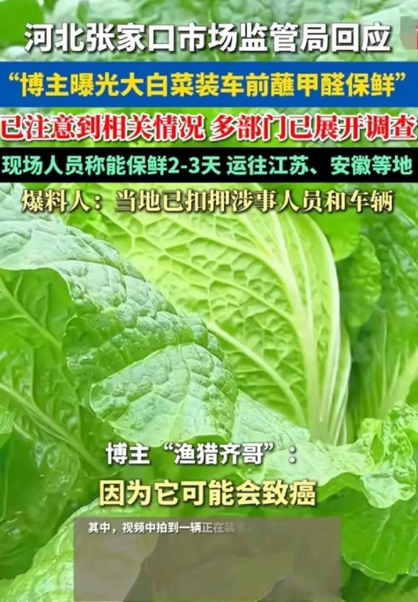 大白菜泡甲醛也不是秘密。很多年前商贩就是这么干的。要不然大白菜在运输过程中全部都