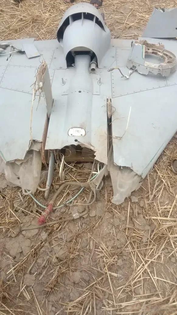 [呲牙笑]印度之怒！今天三哥向巴基斯坦境内数个机场发射了大量自杀式无人机（参见图