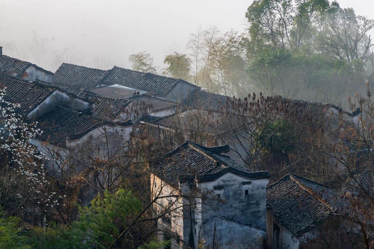 歙县石潭村。歙县石潭村风光摄影风景摄影我的摄影日记古诗词中的景色