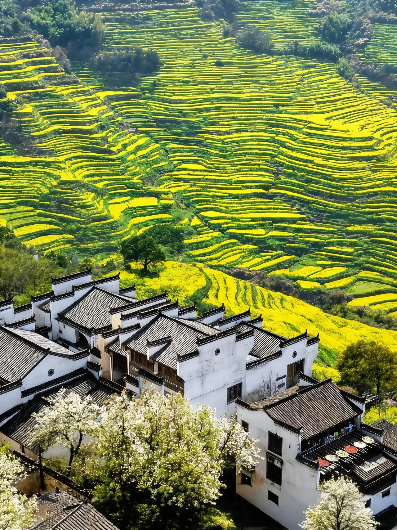 碰到一位高中学生的家长，我感觉这位家长对教育有自己的见解。他认为老师很关键，所以