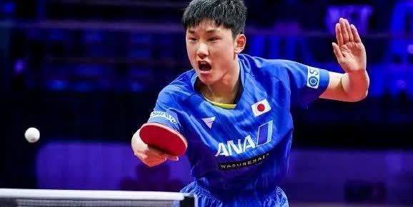 张本智和这小子真是倒霉蛋张本平时训练都是针对中国球员训练的，所以碰上欧洲